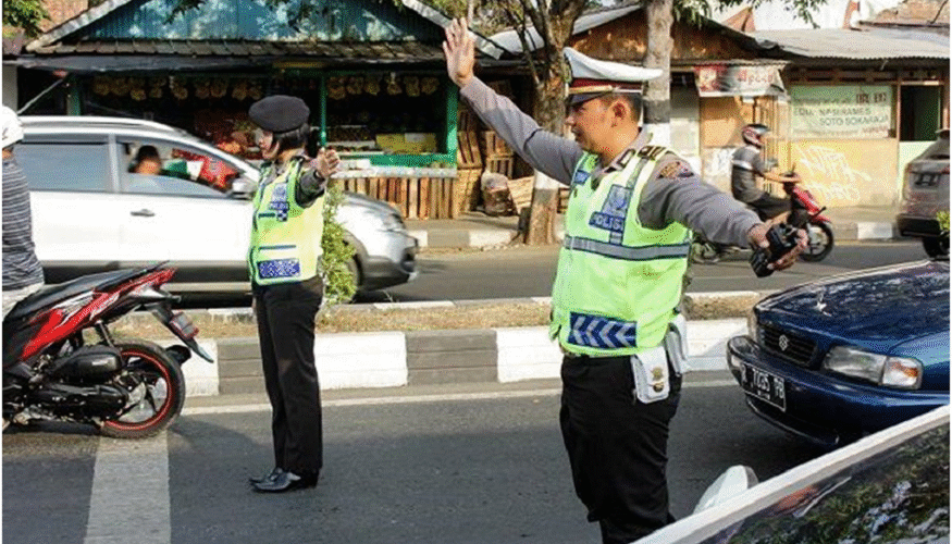 Traffic Flagger